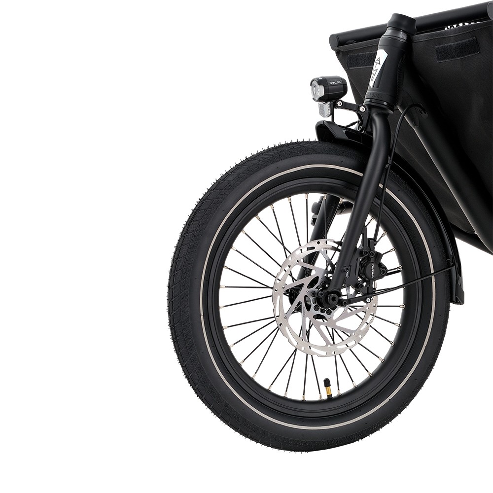 Atmose Model P ESP3 Elektrisches Familien-Cargofahrrad für den Transport von Kindern und Haustieren