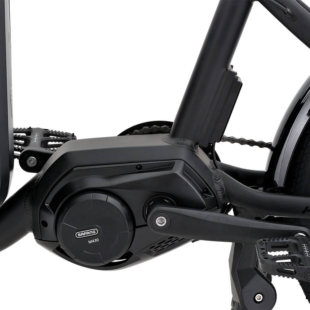 Atmose Model P ESP3 Elektrisches Familien-Cargofahrrad für den Transport von Kindern und Haustieren
