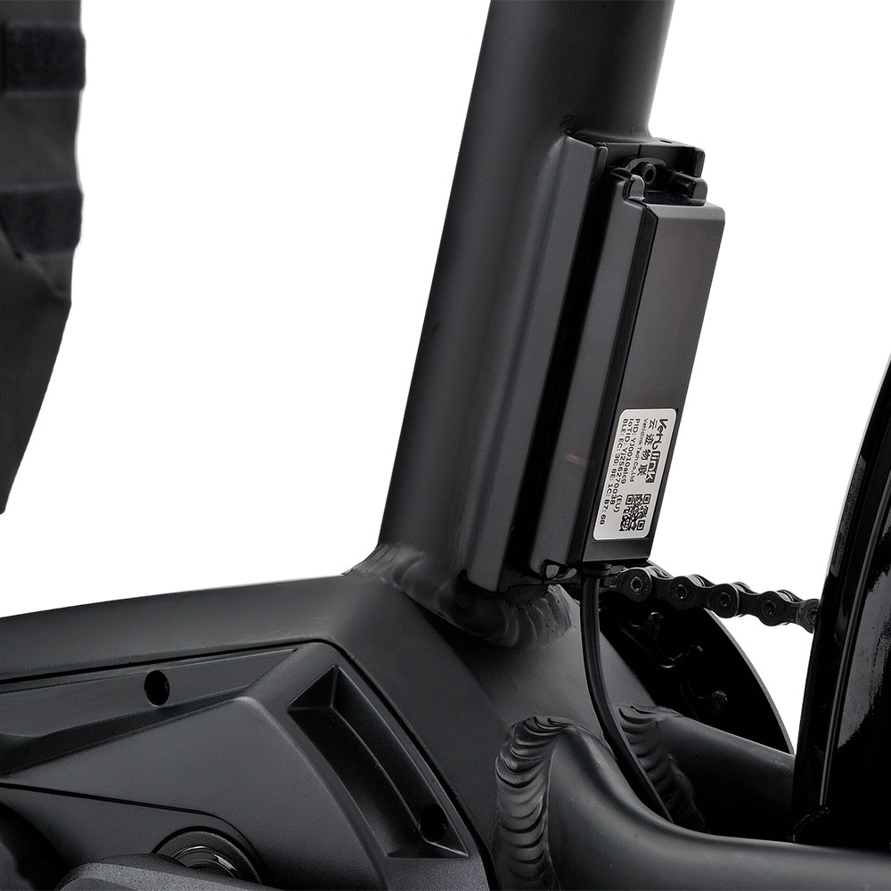 Atmose Model P ESP3 Elektrisches Familien-Cargofahrrad für den Transport von Kindern und Haustieren