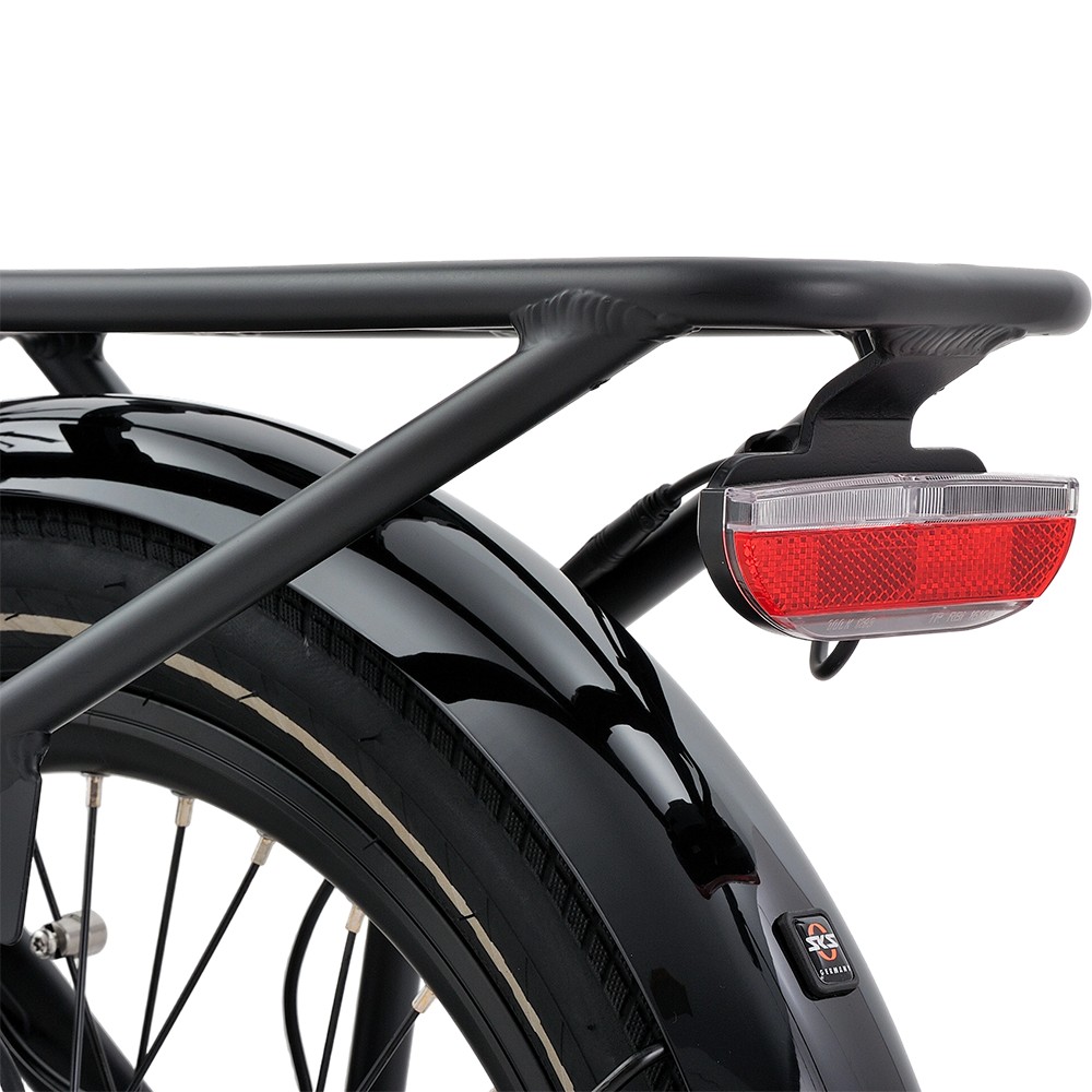 Atmose Model P ESP3 Elektrisches Familien-Cargofahrrad für den Transport von Kindern und Haustieren