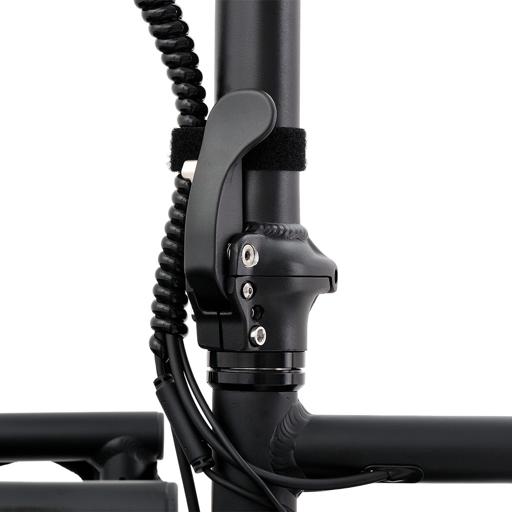 Atmose Model P ESP3 Elektrisches Familien-Cargofahrrad für den Transport von Kindern und Haustieren