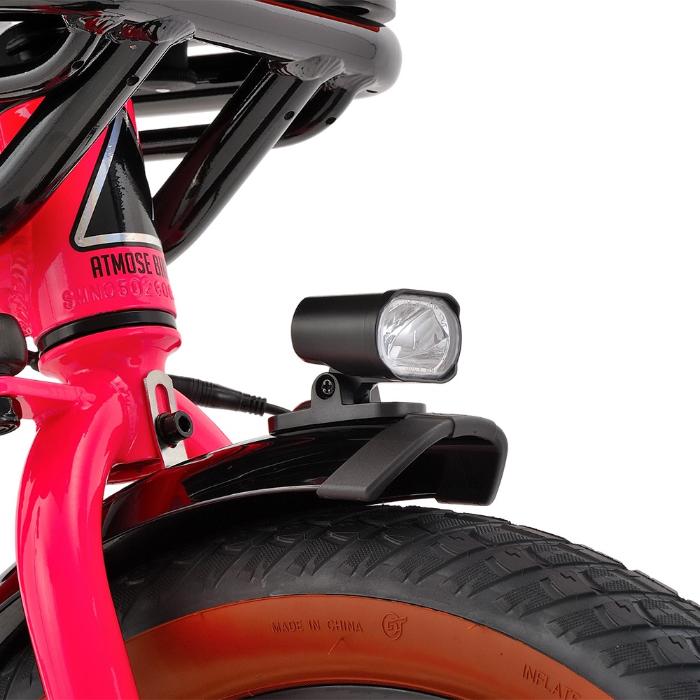 Atmose Model V ESV1 Adventure Cargo Bike mit übergroßem Camping-Rack vorne