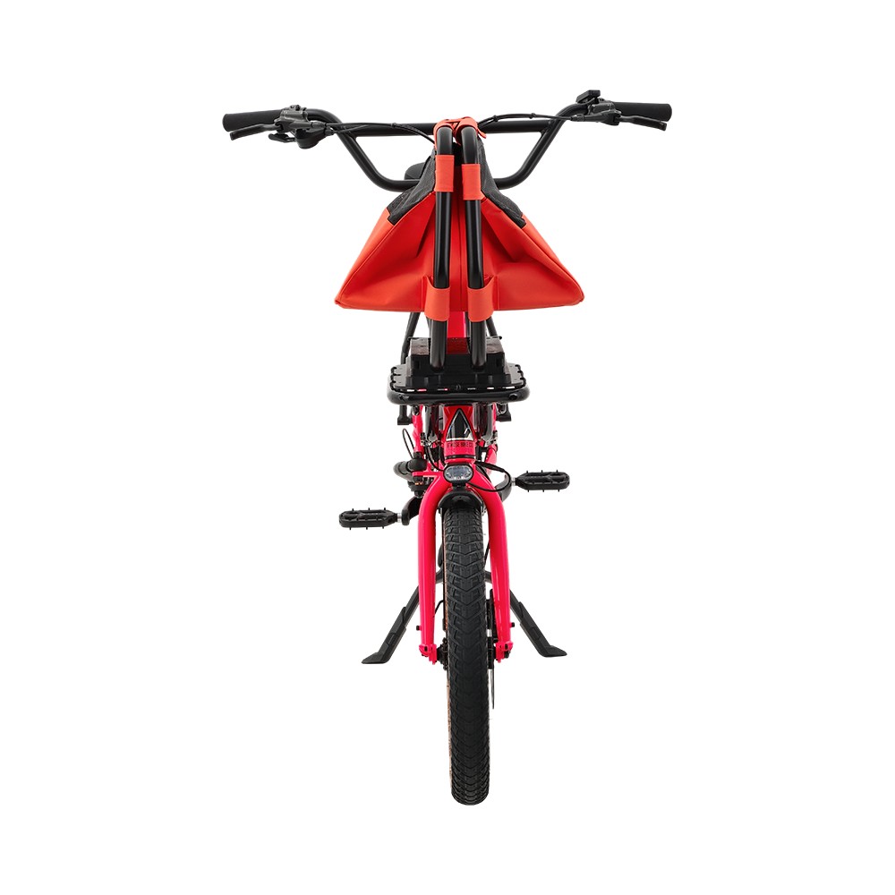 Atmose Model V ESV1 Adventure Cargo Bike mit übergroßem Camping-Rack vorne
